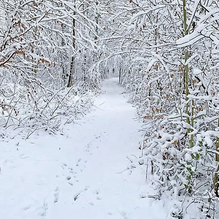 Haus Eggewald Lichtenau (Westphalia)