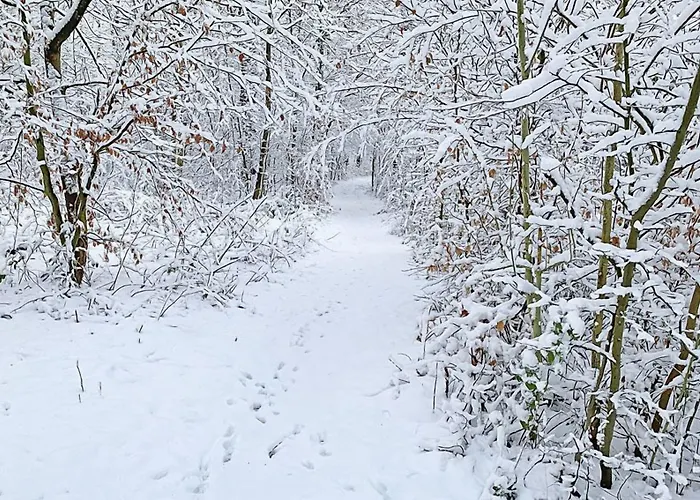 Haus Eggewald Lichtenau